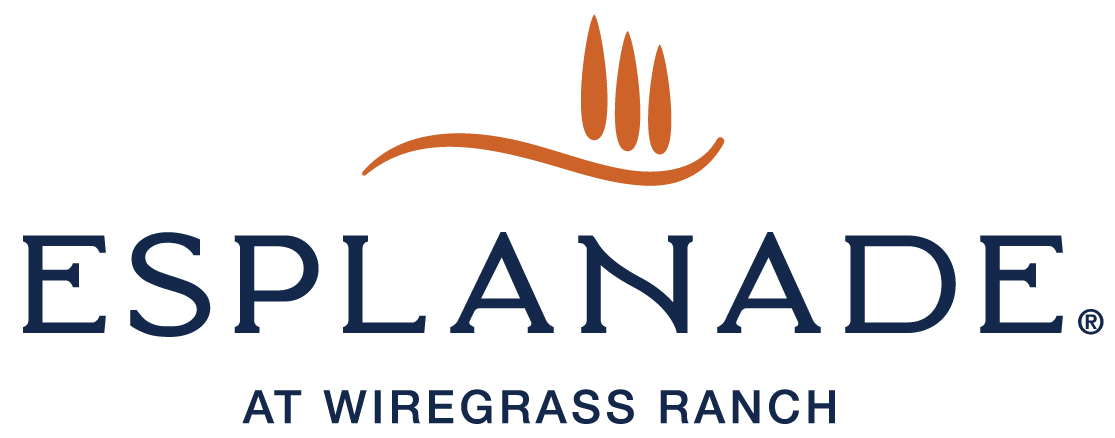 Esplanade at Wiregrass Ranch Draft